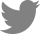 twitter icon
